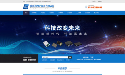 盛廷微電子江蘇公司網站設計案例